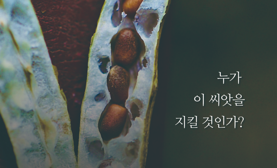 느티나무 아래