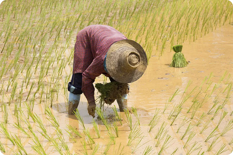 어벤져스 엔드게임 비하인드 스토리와 평가