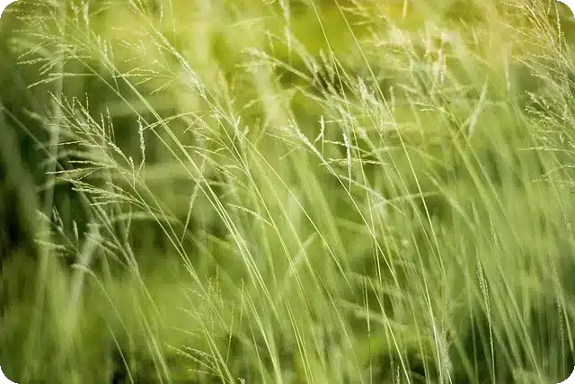 딥워터 호라이즌 실화의 뒷이야기