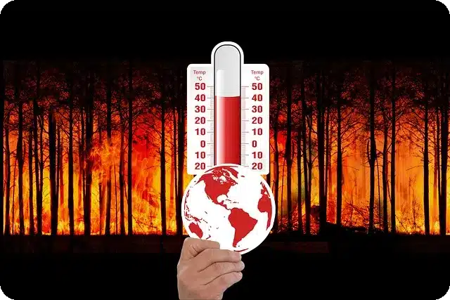 데드 어게인 2025년 어떤 변화가 올까