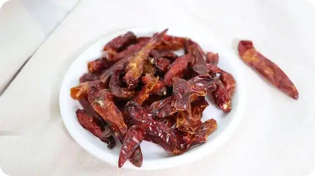 페퍼톤스 인 시네마 전주국제영화제 즐기는 법은