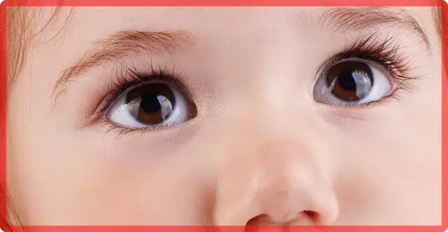 성욕주의 은밀한 밀회 영화 해석과 숨은 의미 분석